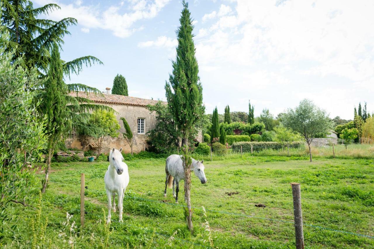 Mas De La Rivoire B&B Villevieille 외부 사진